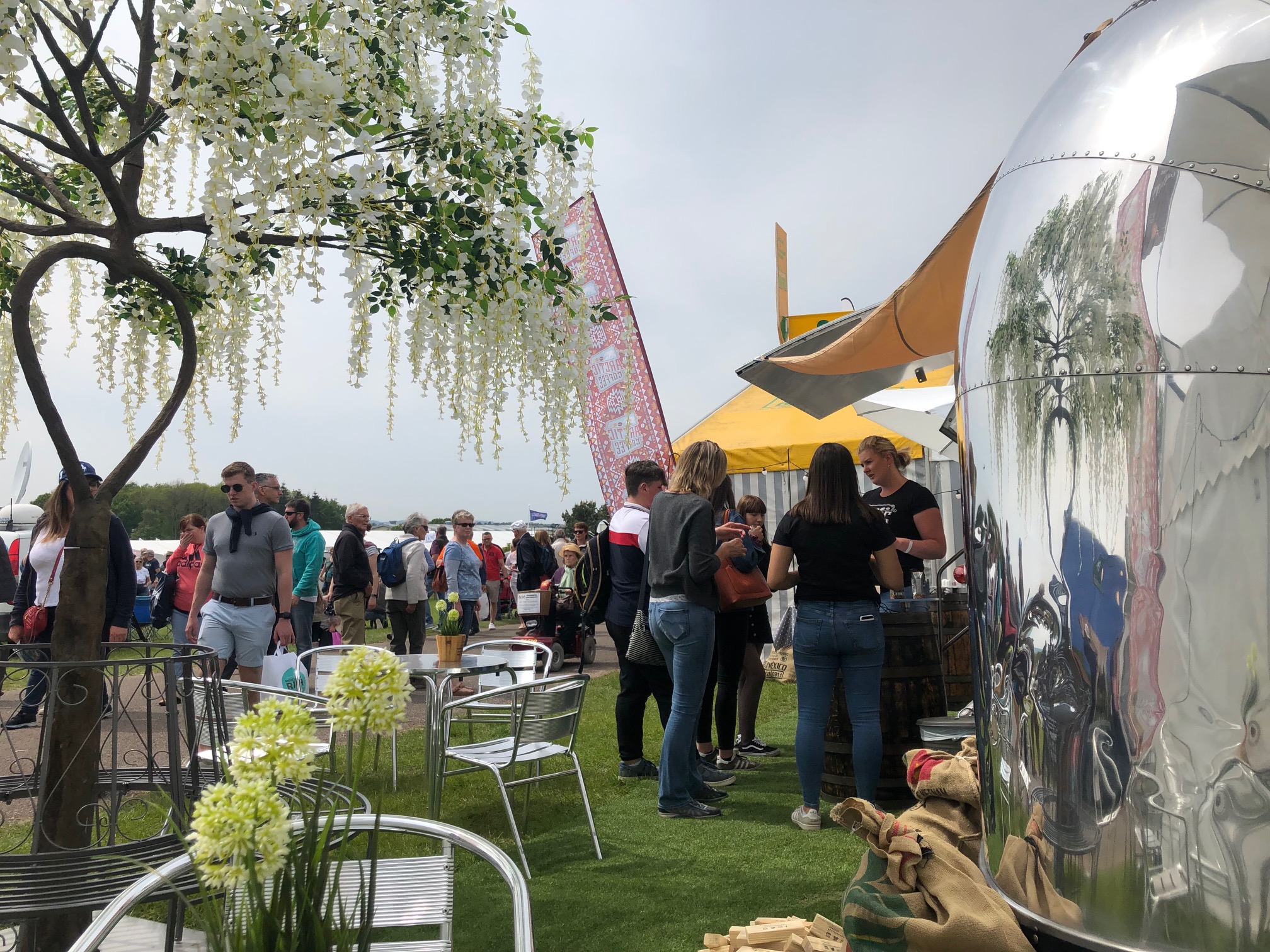 T111 Jackie O Crediton Dairy Devon County Show 2019 (7)